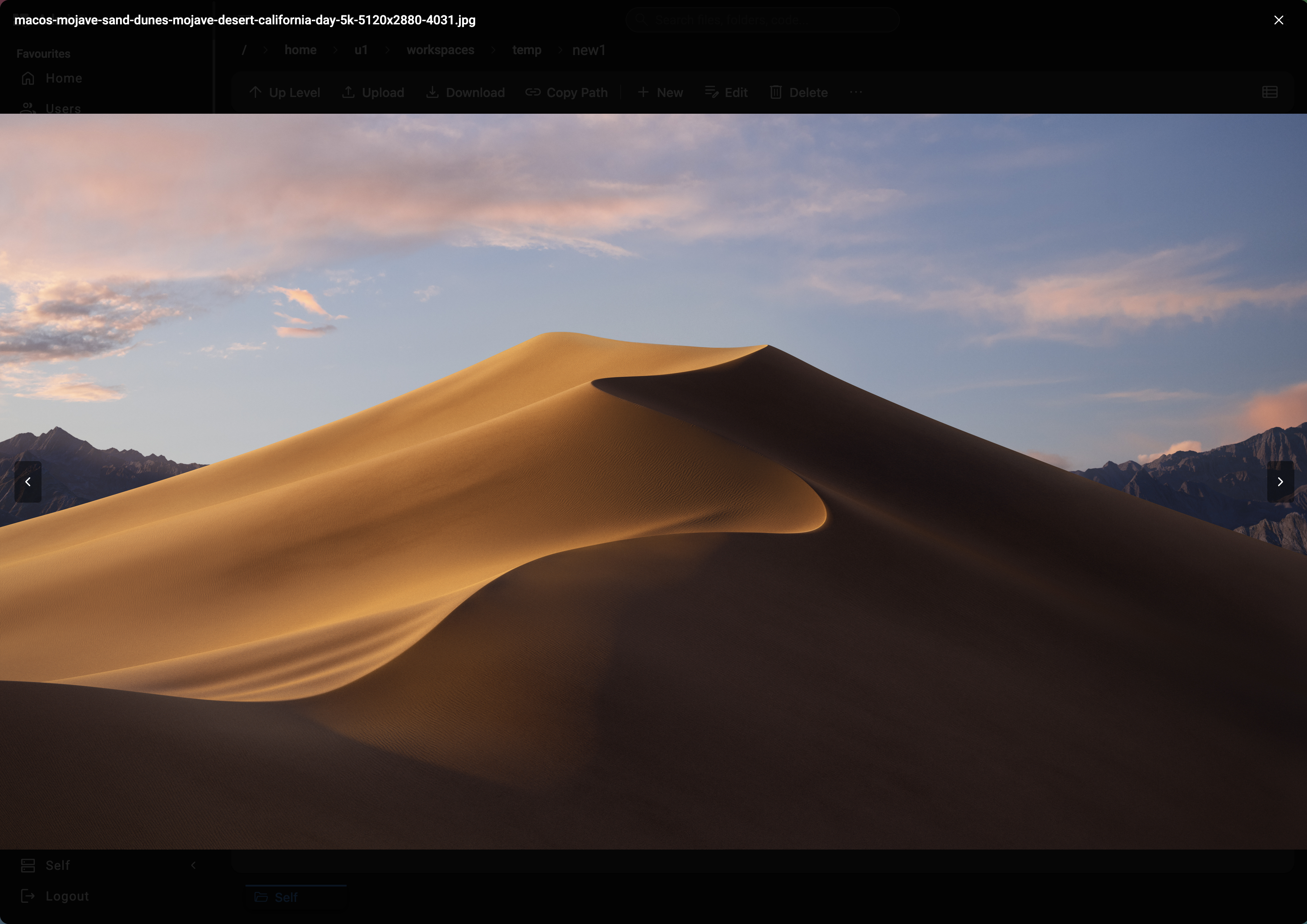 SidecarX image preview — a full-size photograph opened inside the panel